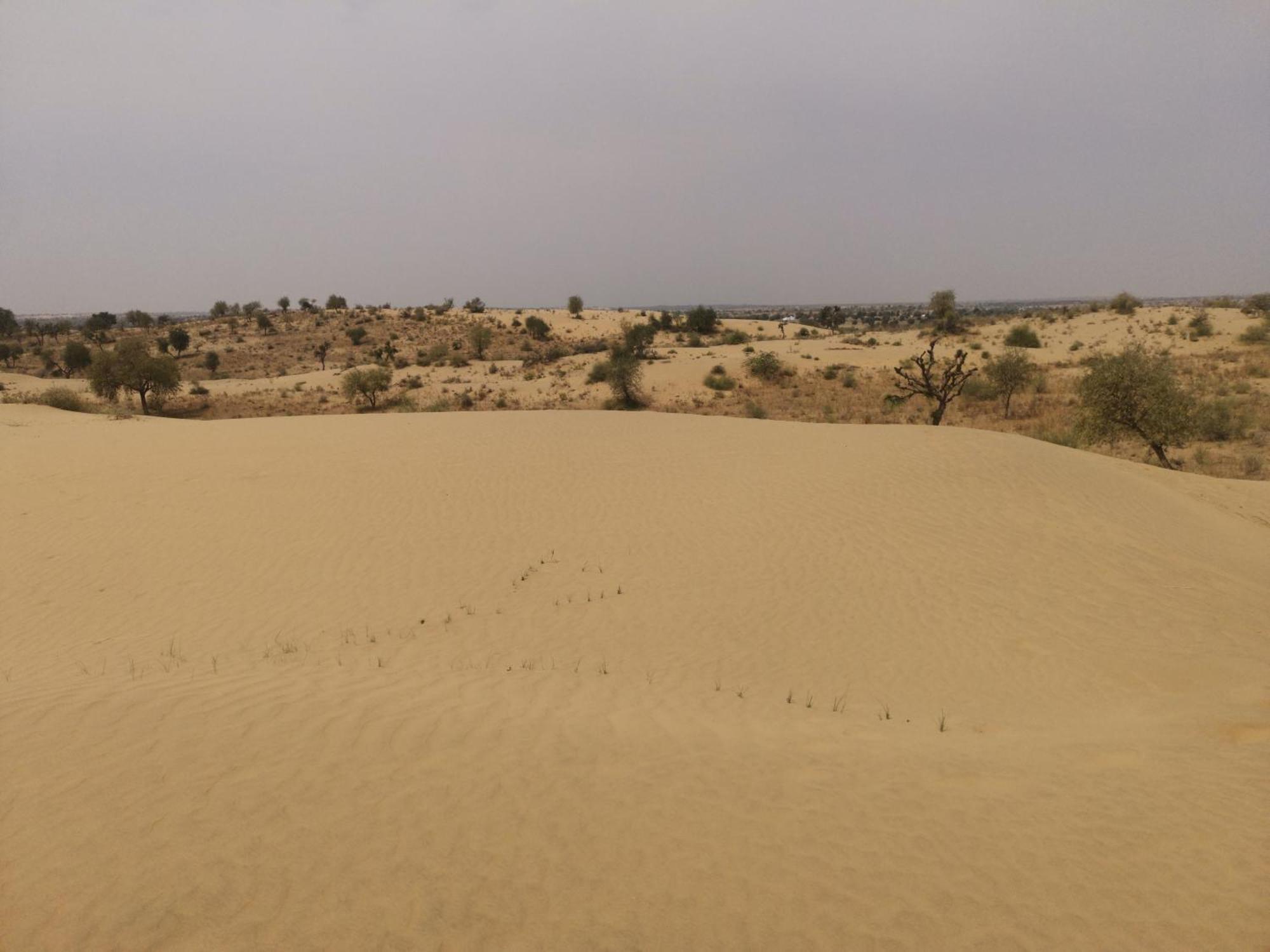 Dhora Desert Resort, Signature Collection By Eight Continents Shaitrāwa Εξωτερικό φωτογραφία